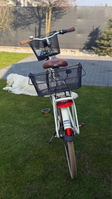 Rower miejski Pegasus