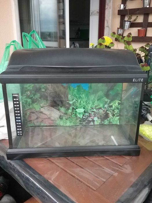02 aquarios totalmente equipados