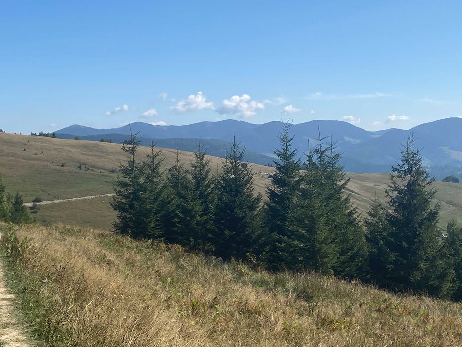 Земля під екопоселення 26 гектарівів