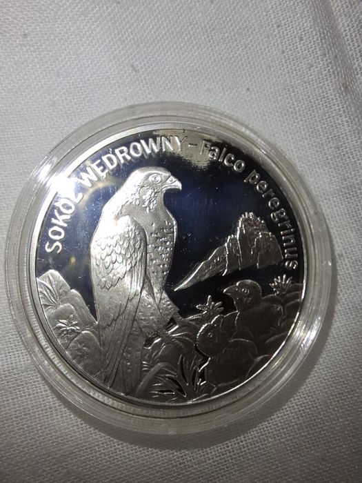 Sokół wędrowny 2008r. - 20zł + 2zł+ folder