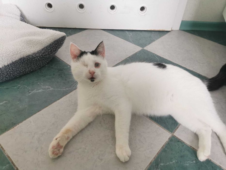 Miłość jest ślepa