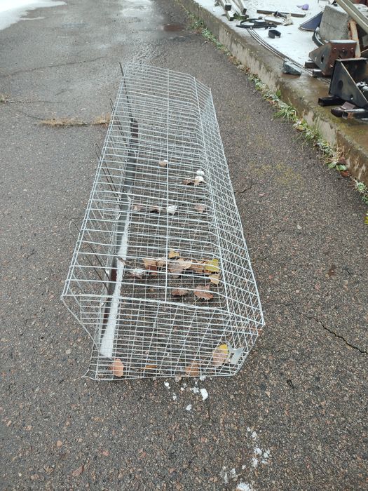 Клетки для курей