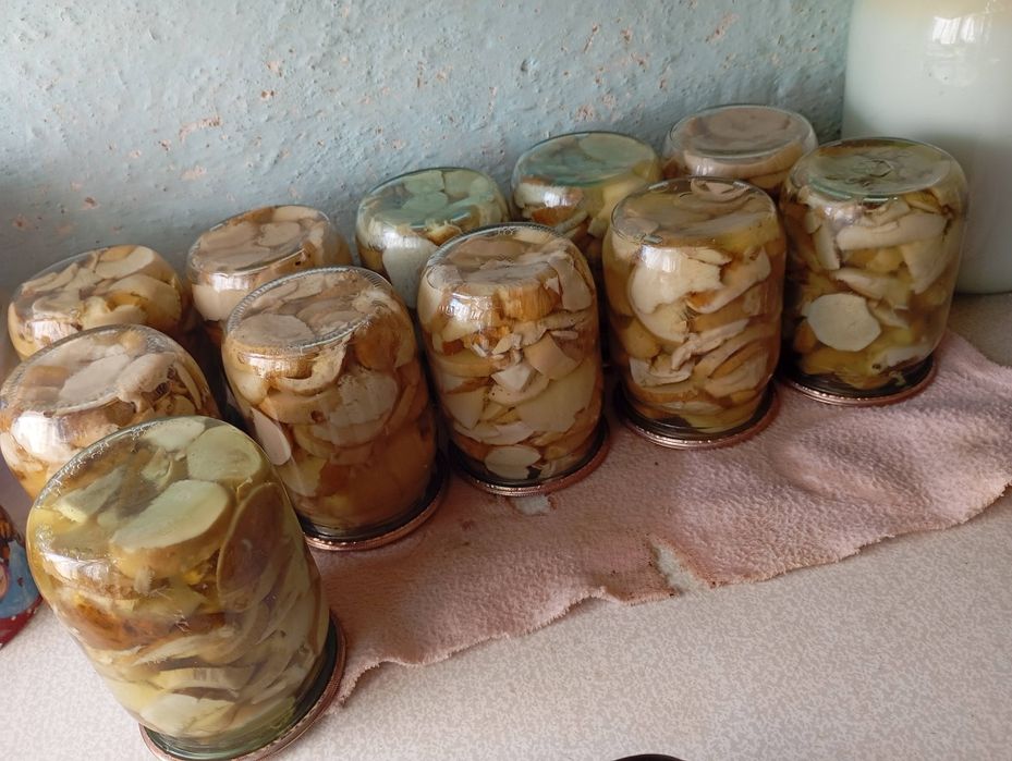 Гриби мариновані маслюки, білі, красноголовці+підберезовики. 0,5 л