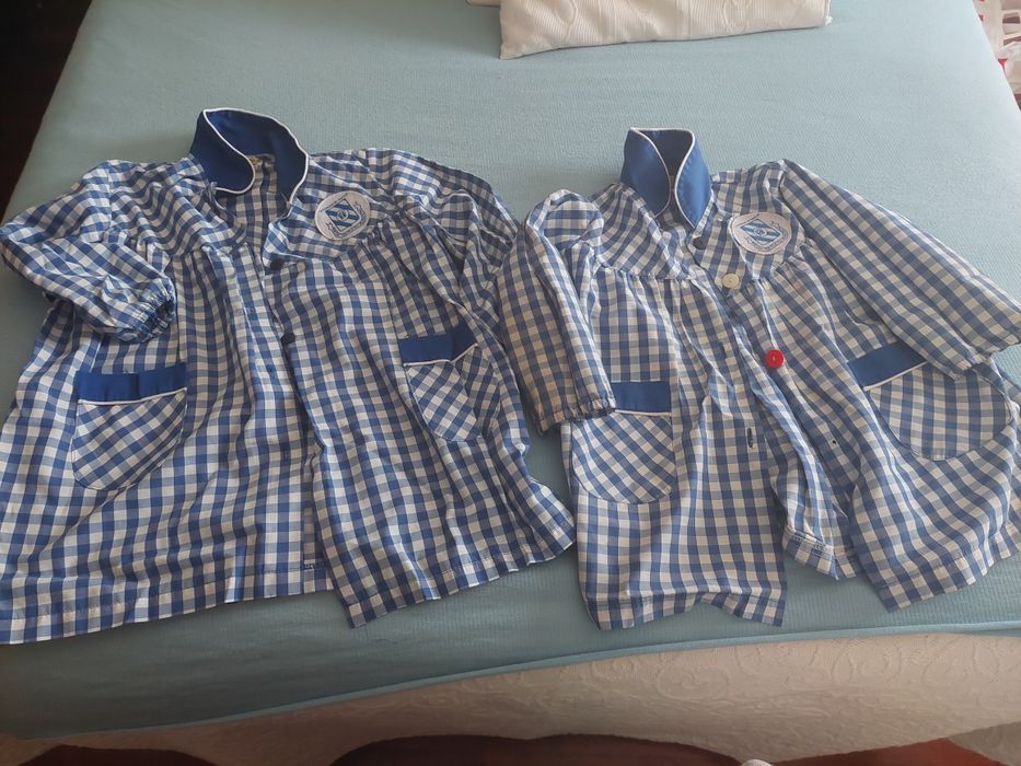 Ibibes T. 2, 4 e 6 anos