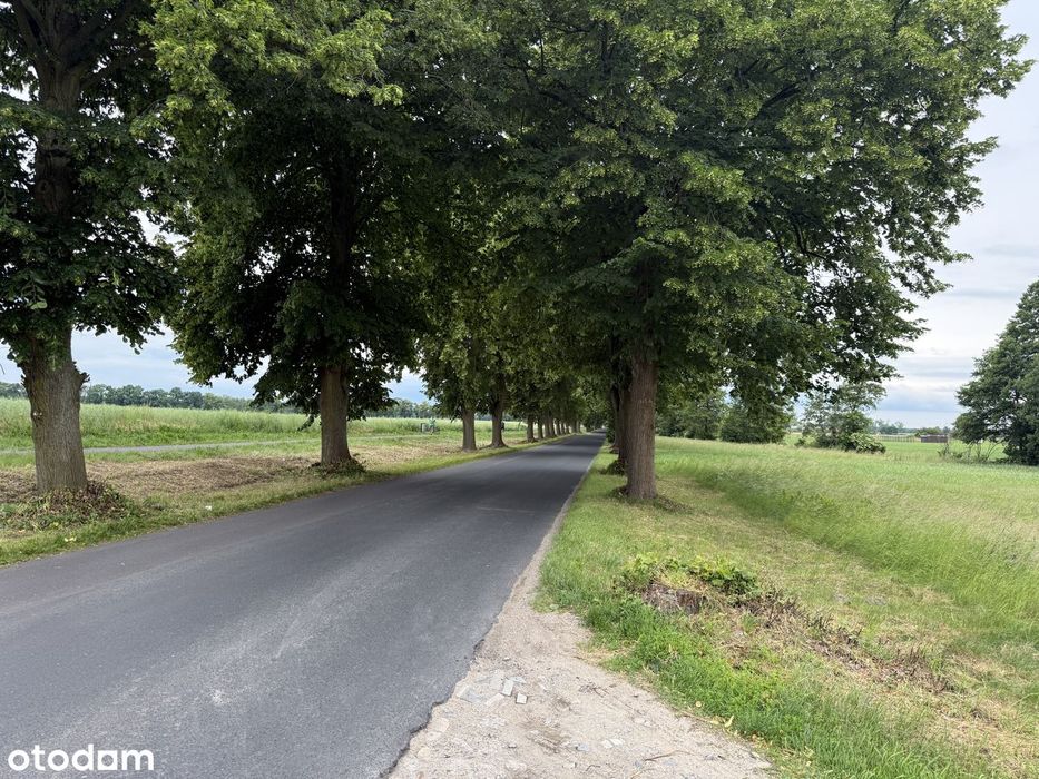 Działka budowlana 860 m² – Stary Tomyśl – uzbrojona