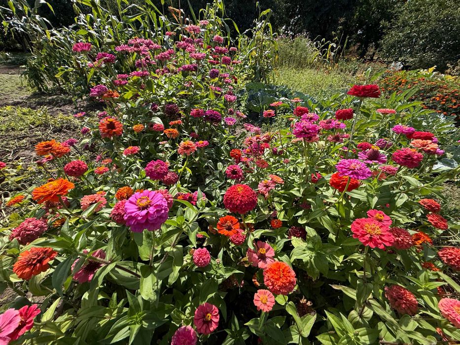 Продам 3 кім будинок в смт Баришівка, Київська область, Є ВІДЕООГЛЯД