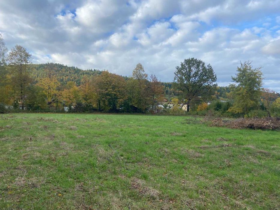 Продам земельну ділянку під інвестицію в Маняві 75 сотих