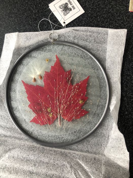 Artesanato Folha Plátano Canadá em vidro  (Oferta Magneto)