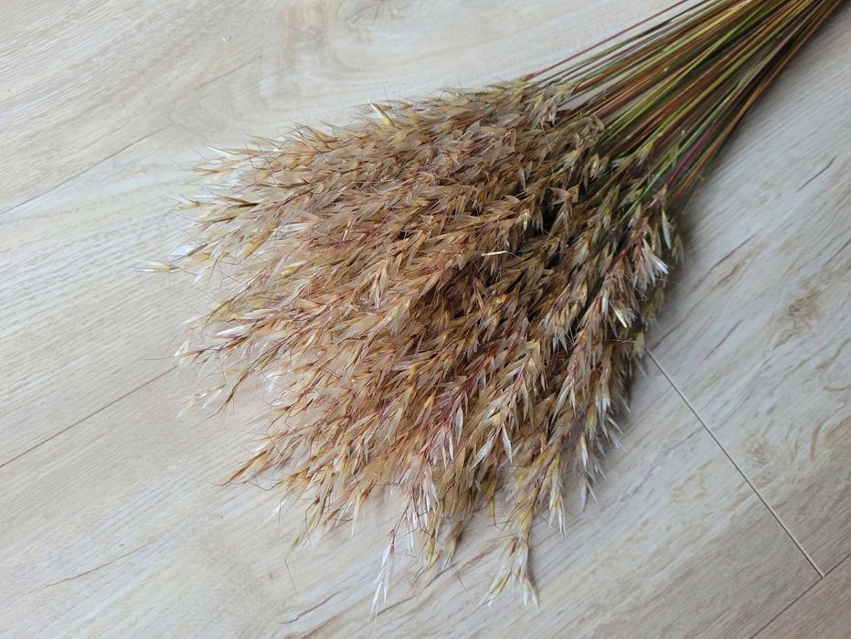 suszone kwiaty trawy do dekoracji wianków stroików palm *