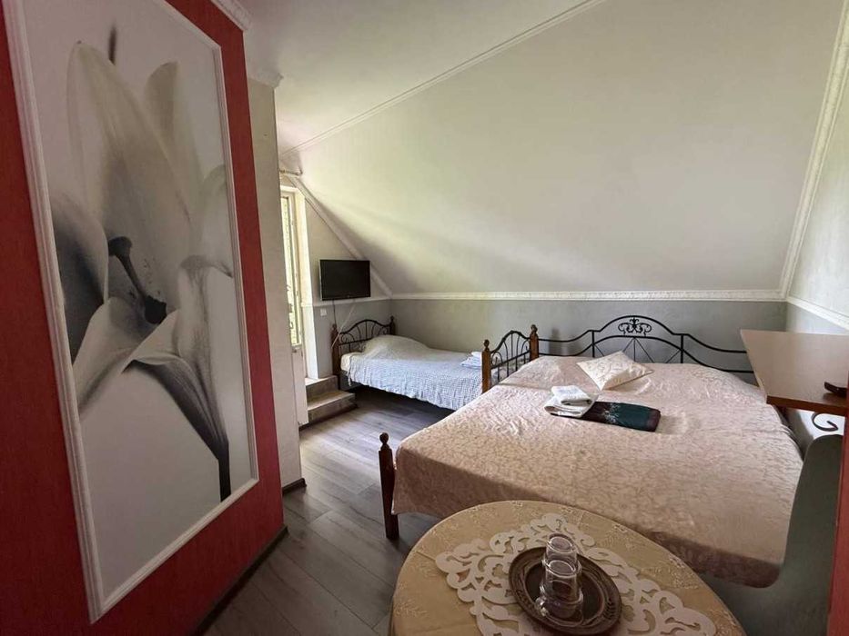 Продаж діючого готелю 900м². 16 номерів. Ресторан. Б'юті-послуги. Центр. ID:721