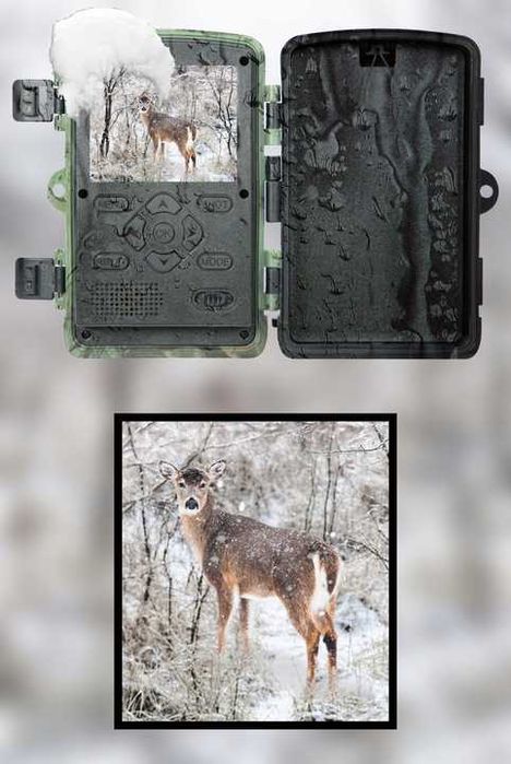 ZESTAW Fotopułapka 1080p kamera myśliwska leśna wodoodporna DIODY IR