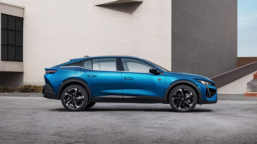 Zdjęcie w galerii numer 6