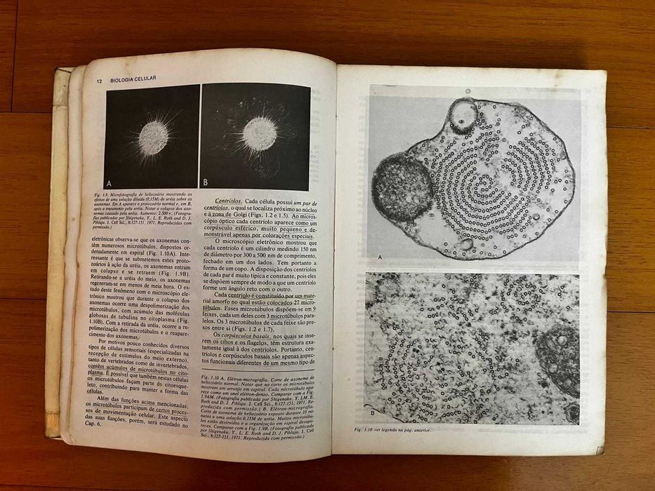 "Biologia Celular e Molecular" de Junqueira Carneiro