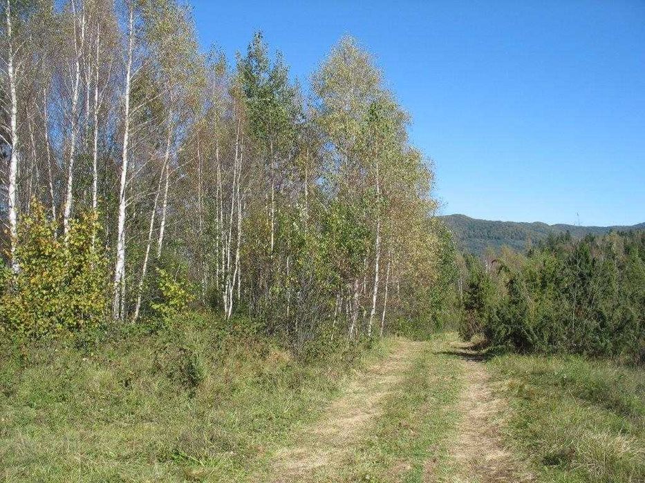 Piękna działka leśna Bieszczady