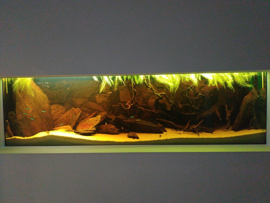 Akwarium z osprzętem około 300 l