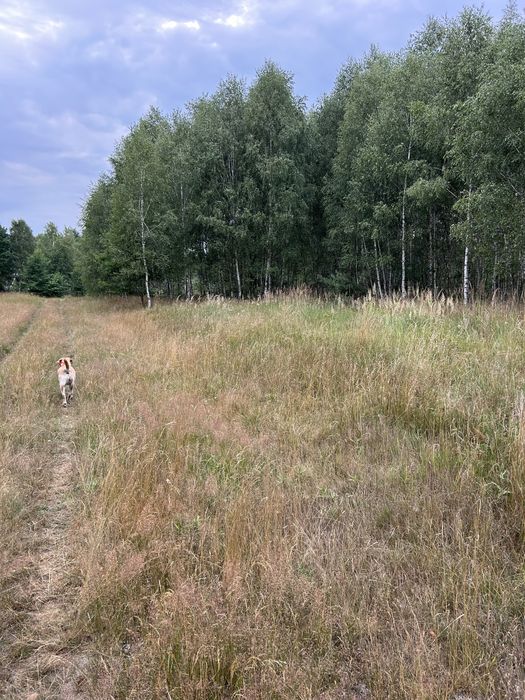 Sprzedam działkę