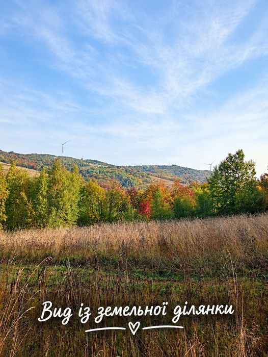 Земельна ділянка