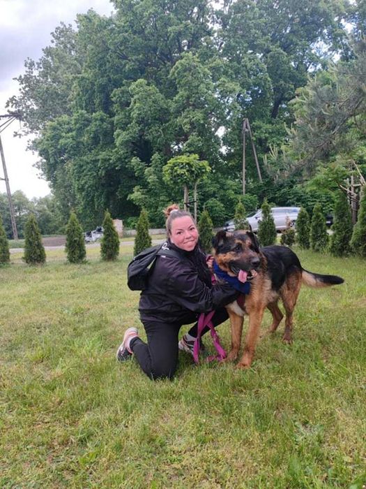 Szuka opiekuna, który będzie jego przewodnikiem i przyjacielem