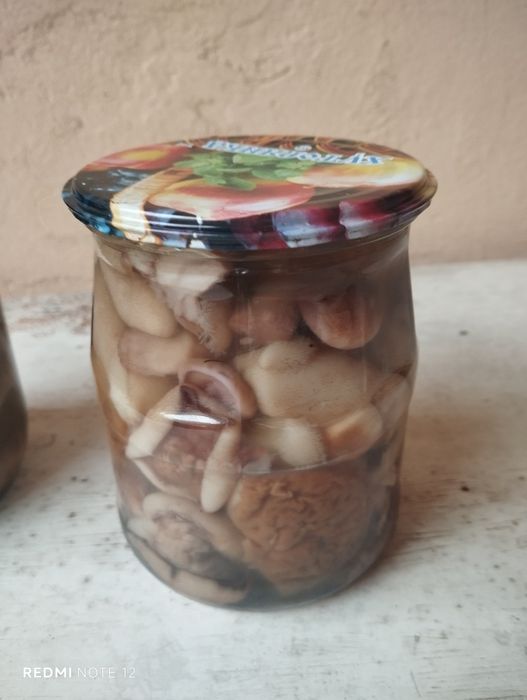 Маслята  маринованые , соленые