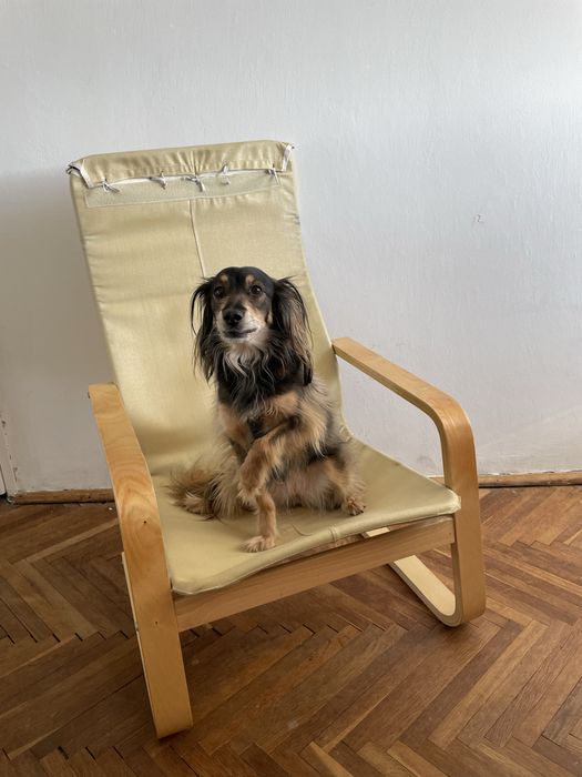 Fotel drewniany ikea poang