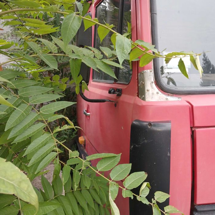 кабина МАЗ в сборе