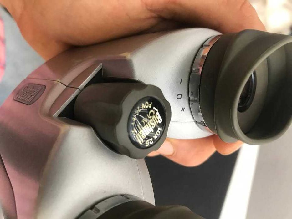 Bushnell Voyager 10x25 Porro Prism Binoculars
am-140125