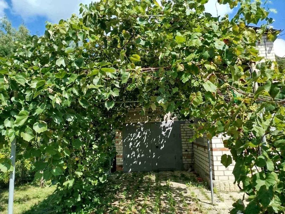 Своя дача в хорошем месте под Харьковом