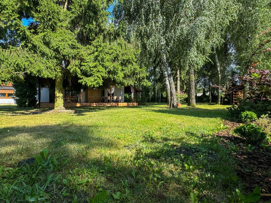Domki na wynajem Nowy Dębiec. Super apartamenty