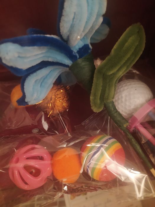 Brinquedos para gatos ou coelhos
