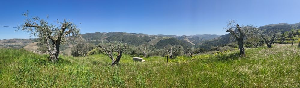 Terreno Urbano em Tabuaço