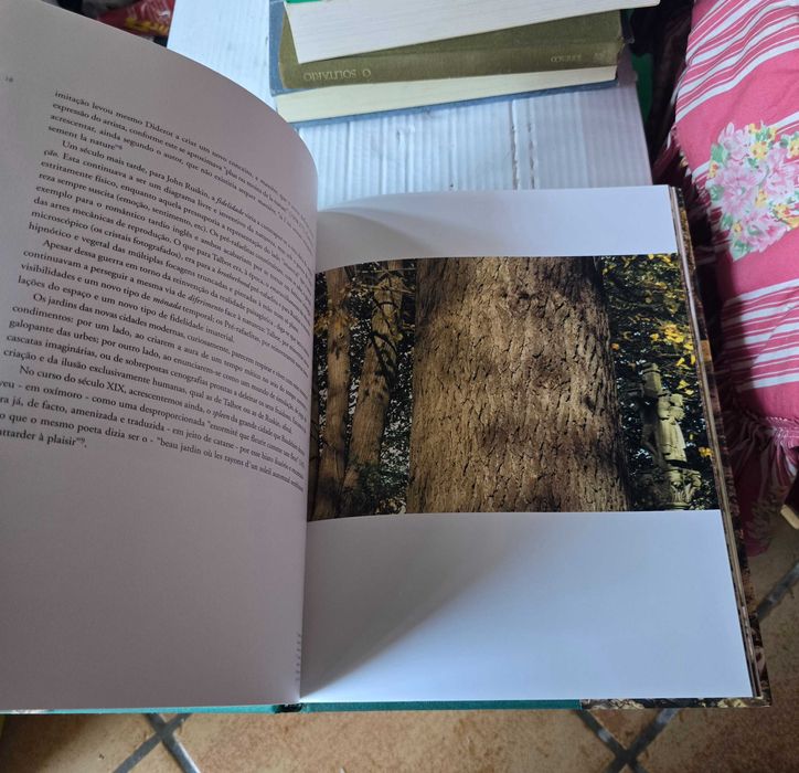 Livro jardins de cristal