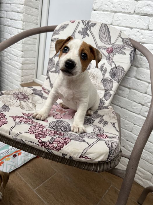 Хлопчик красунчик