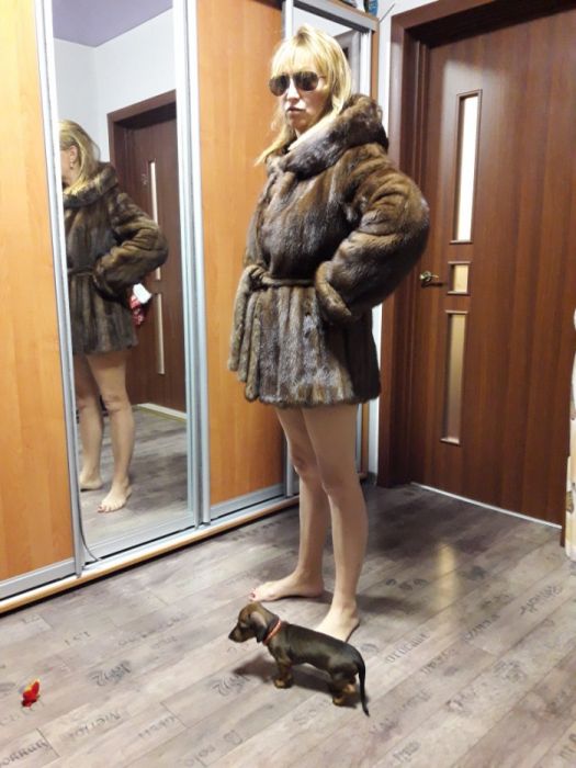 Продам шубу норковую до колен М