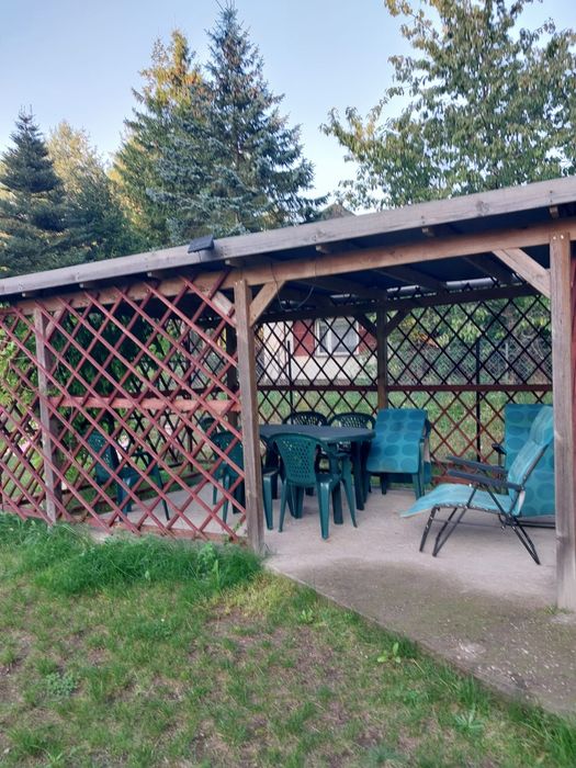 Wynajmę domek,pod brzozami nad jeziorem.