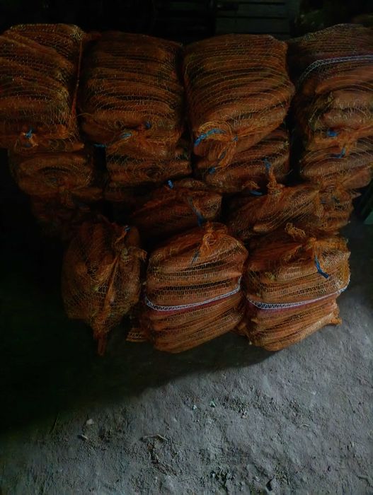 Marchew na sprzedaż