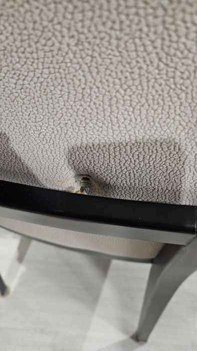 8 Cadeiras de mesa de jantar (venda à unidade possível )