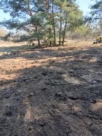 Działka rekreacyjna kempingowa do wynajęcia  linią bezegową