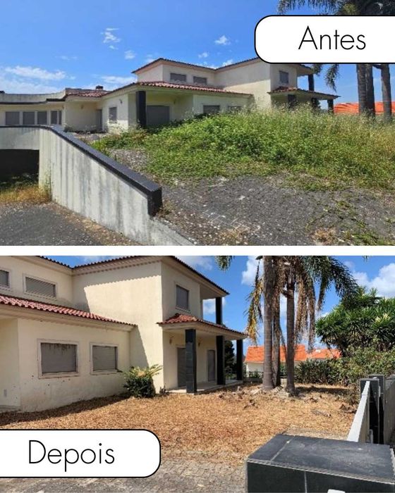 Remoção de monos, Limpezas de terrenos  e muito mais!