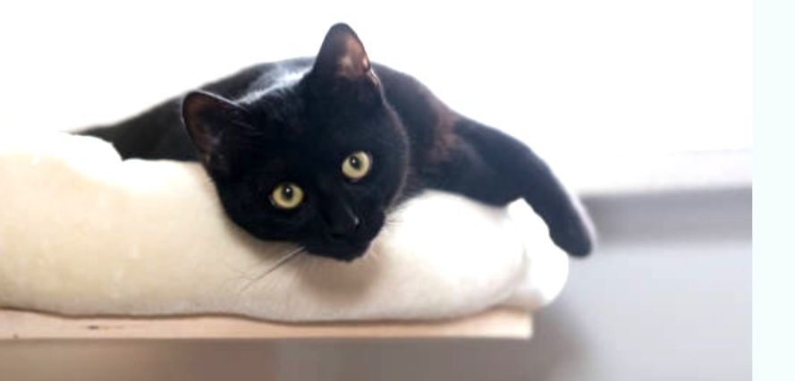 Maluchy. Chłopczyk i dziewczynka.