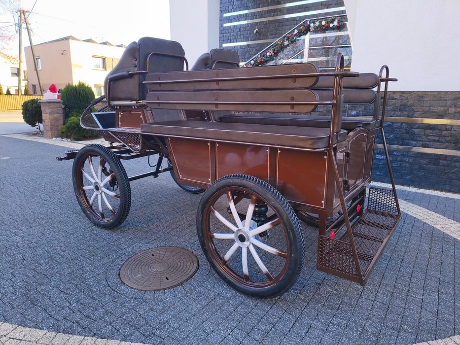 Bryczka konna treningowa powóz wagonetka