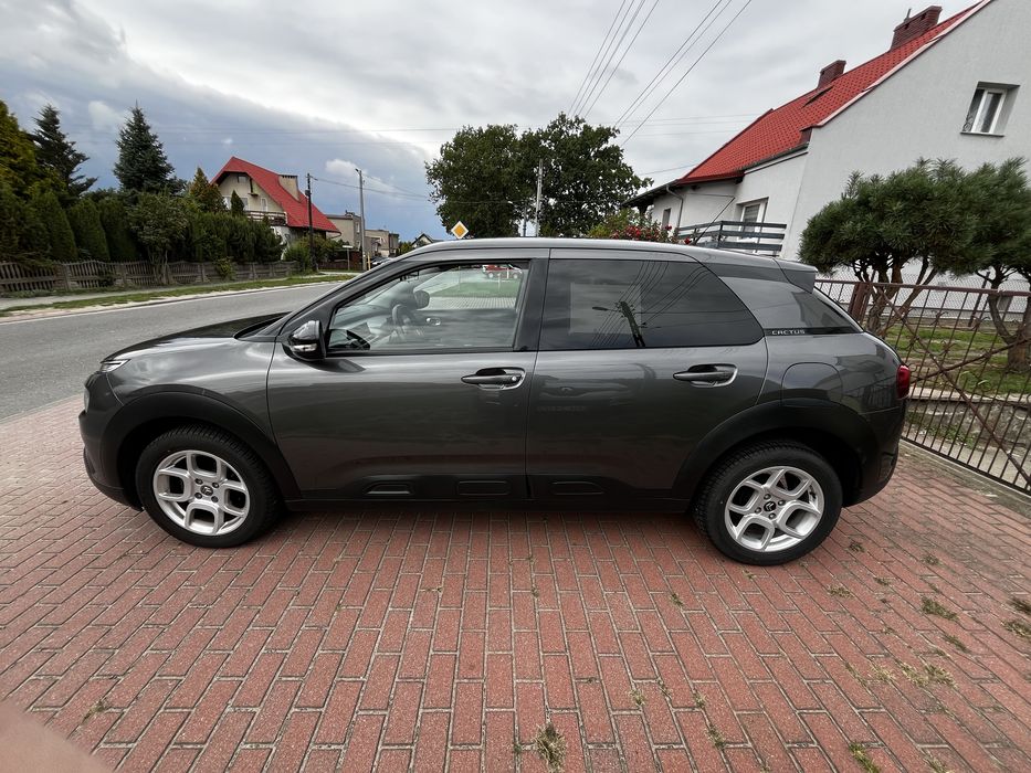 Citronen C4 cactus