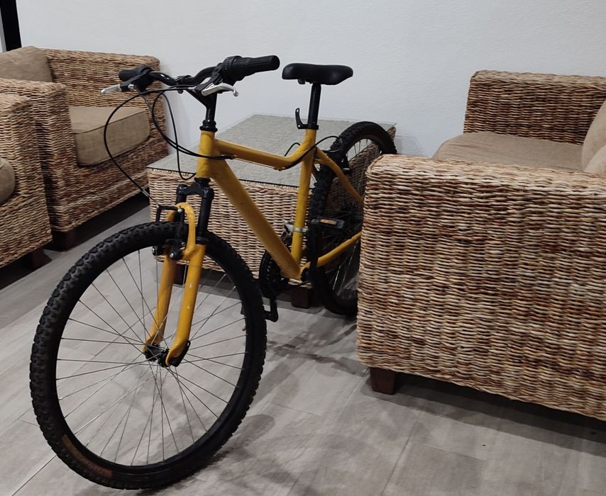 Bicicleta para desocupar
