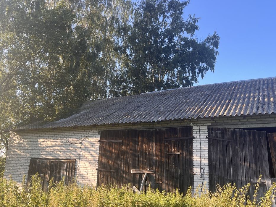 Sprzedam siedlisko 19 arow duża stodoła  i  obora  pod magazyn , dzialalność lub rolnictwo