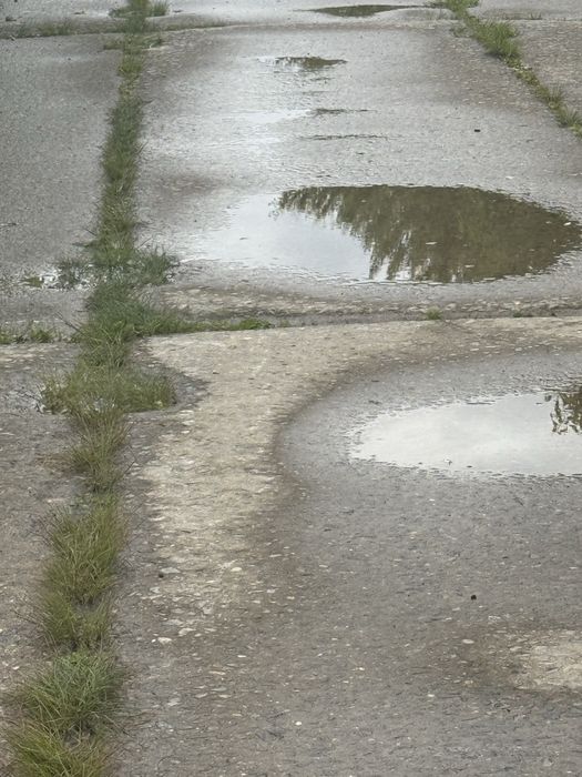 Продам землю  пай 1,8 гектара, в селі Нижній Коропець до Мукачево 5 км