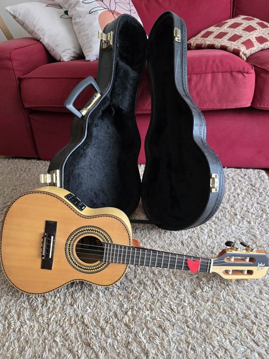Cavaquinho Rozini Eletrico