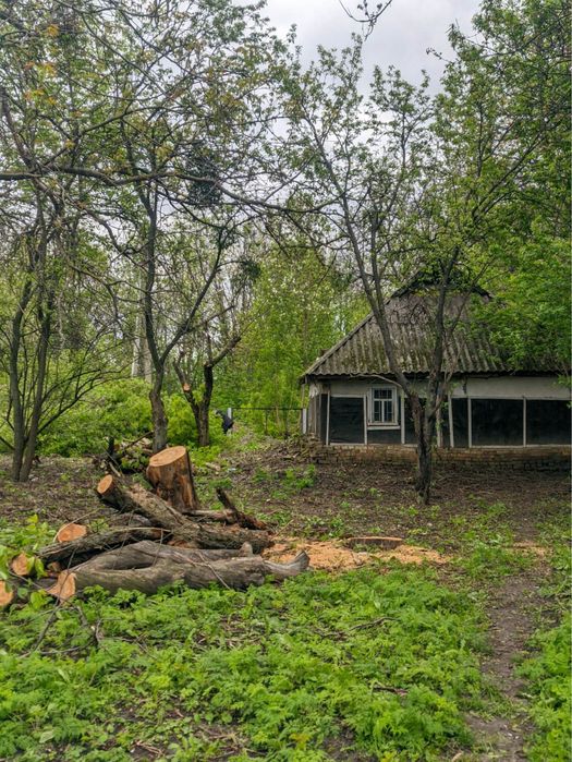 Продам земельну ділянку в селі Стайки - 17 соток