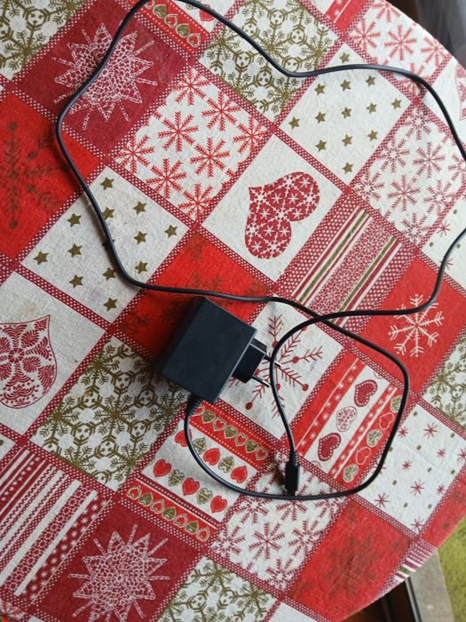 Nintendo switch oled com muitos acessórios e com caixa, o me filho deixou cair na agua e parou de funcionar