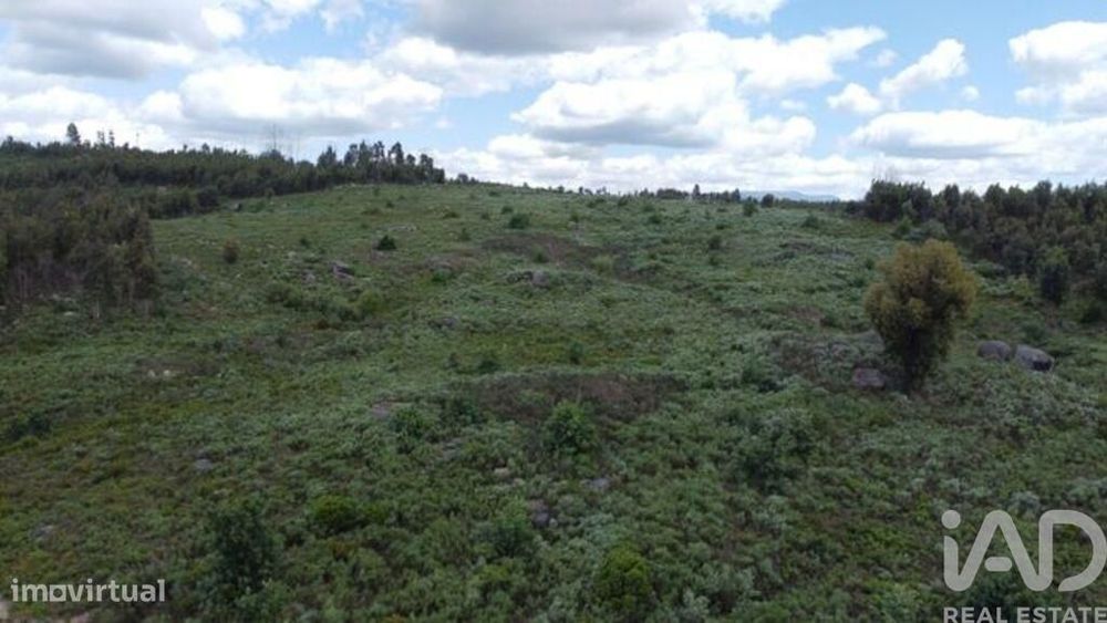 Terreno para construção em Seixo da Beira de 48000,00 m2