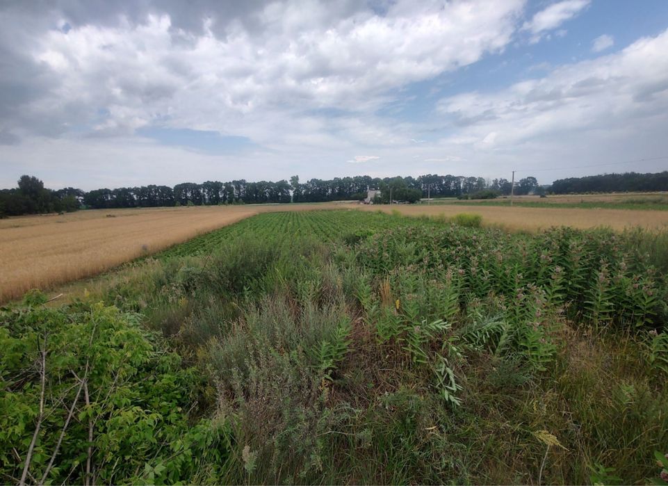 Продаж 25 соток під забудову, є фундамент. Вергуни