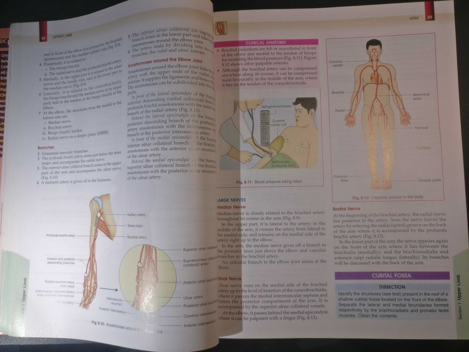 Human Anatomy 6 edition Volume 1 - Upper Limb,  Thorax B D Chaurasia